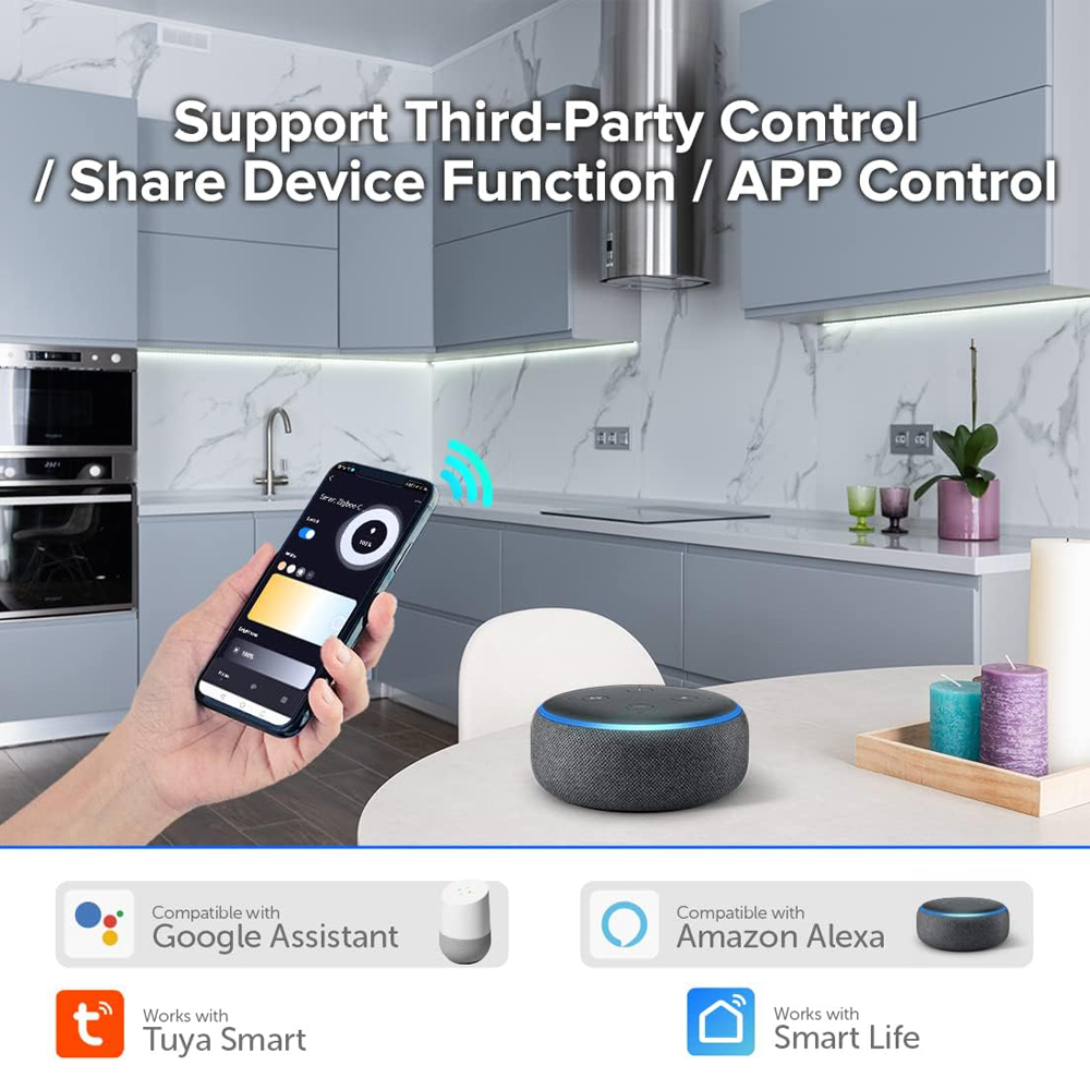 TUYA Zigbee Driver LED CCT a c - Zigbee Coordinator Stick recensione e prezzo